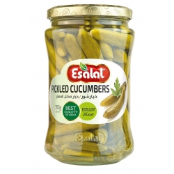خیارشور ممتاز 700 گرم اصالت