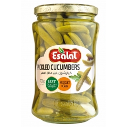 Khiarshoor Vijeh 700 gr Esalat