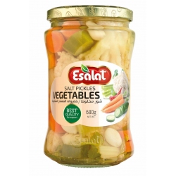 Shoor Makhloot 680 gr ESALAT
