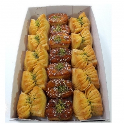 پاپیونی زبون