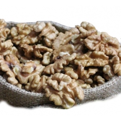 Chile walnut kernel