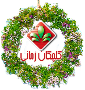 گلچکان زمانی