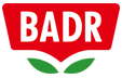 بدر